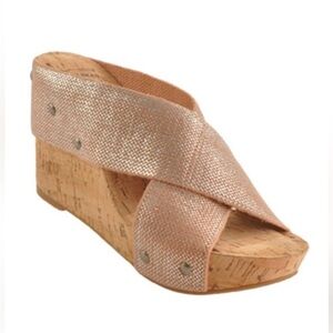 Lucky Brand Platform Wedge Slide